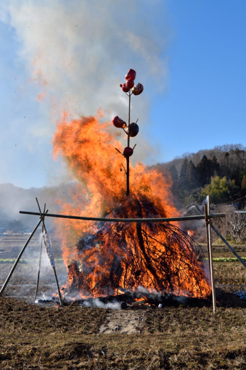 正月行事、正月にすること 左義長・どんど焼き
