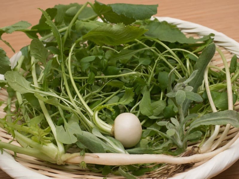 新春に若菜を食べて、自然界から新しい生命力をいただきます