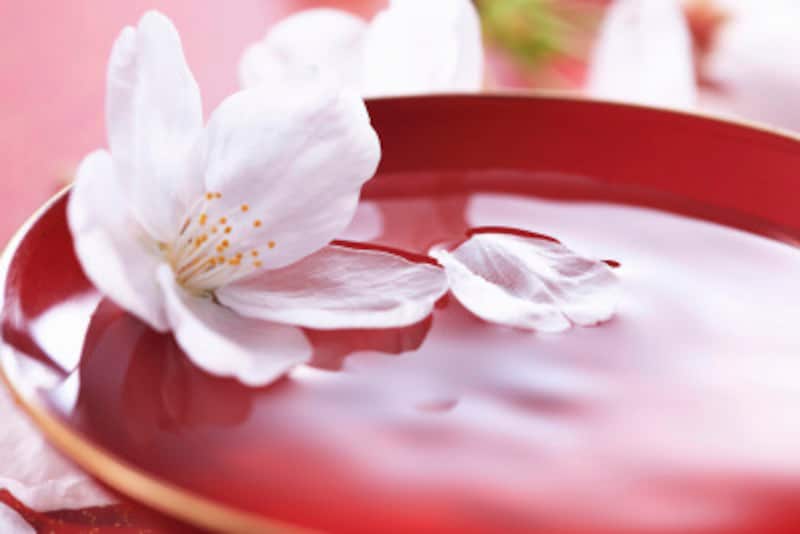 お花見マナーはこれで完璧 粋な振る舞いでお花見を1 満喫 暮らしの歳時記 All About お花見マナーはこれで完璧 粋な振る舞いでお花見を1 満喫 暮らしの歳時記 All About