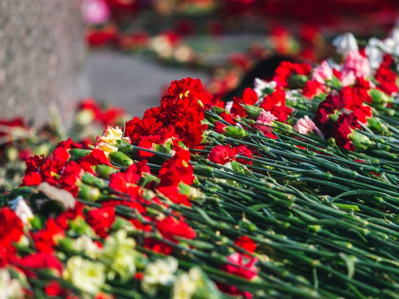 昔から母と子を象徴する花として崇められていたカーネーション。赤と白で意図するものが違います。母の日カーネーションの由来や意味は?
