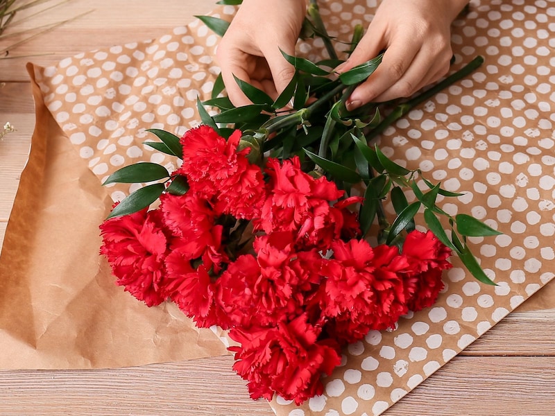 「母の日」提唱者の理念とは? ※画像:Shutterstock.com