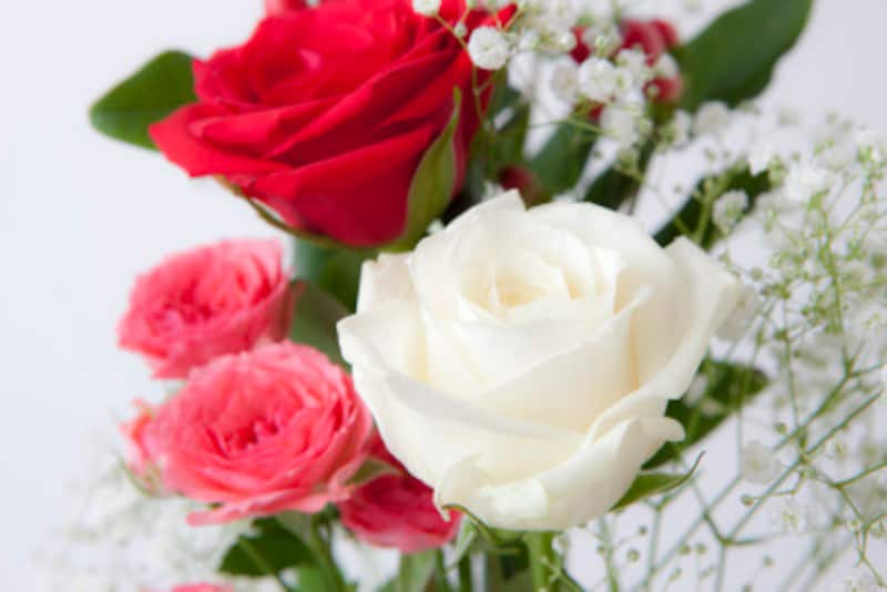 父の日の由来 バラの花や黄色がシンボルの理由 暮らしの歳時記 All About