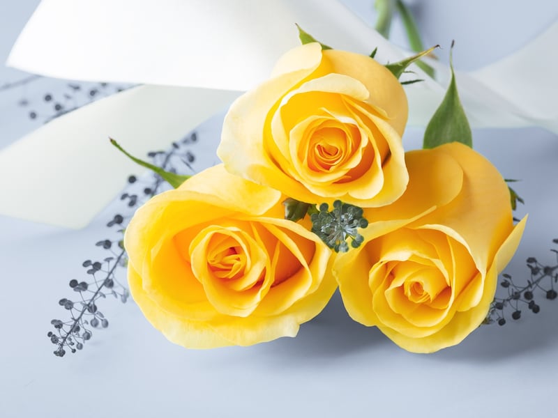 意外に知らない「父の日」のこと……由来はなに？ 本来のプレゼントは花？ ※画像：Shutterstock.com