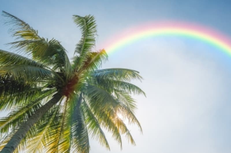 「No Rain, No Rainbow」 雨が降らないと虹は出ない。雨があるからこそ虹が出る……深い意味を持つ、ハワイのことわざです