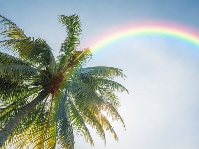 「No Rain, No Rainbow」 雨が降らないと虹は出ない。雨があるからこそ虹が出る……深い意味を持つ、ハワイのことわざです
