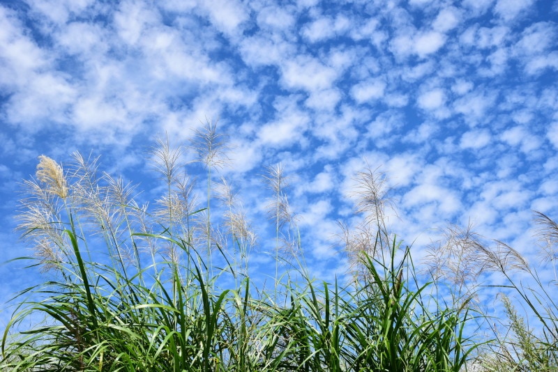 秋の空は変わりやすいといわれています