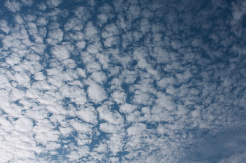 秋の雲：うろこ雲の一例