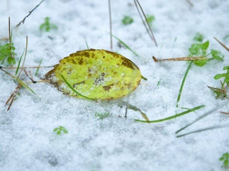 もう初雪は降りましたか?