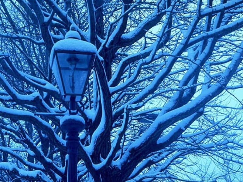 「雪明かり」のなか、街燈にも「綿帽子」