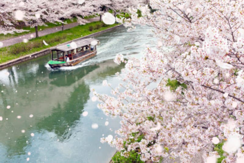 2020年 桜の開花予想と桜前線 予想開花日 満開日はいつ 暮らしの歳時記 All About