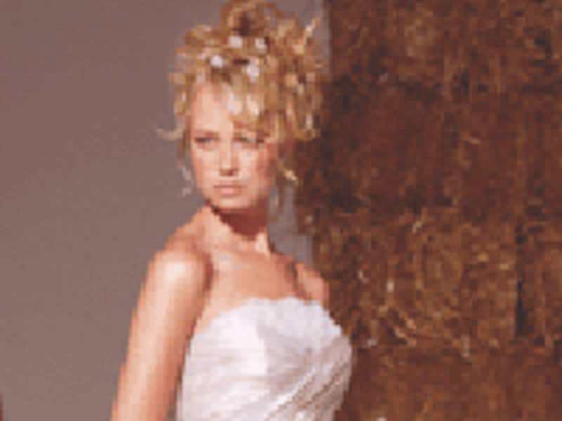 2008年ご指名フィッテングしたいドレス