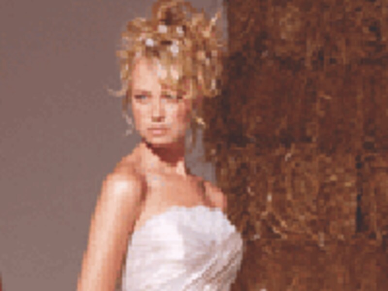 2008年ご指名フィッテングしたいドレス