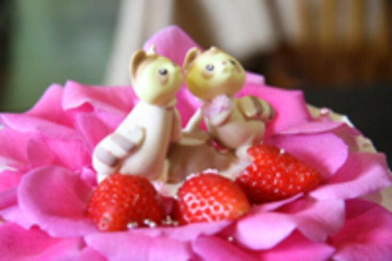 先輩花嫁に学ぶ！ドレス＆ビューティ失敗談 