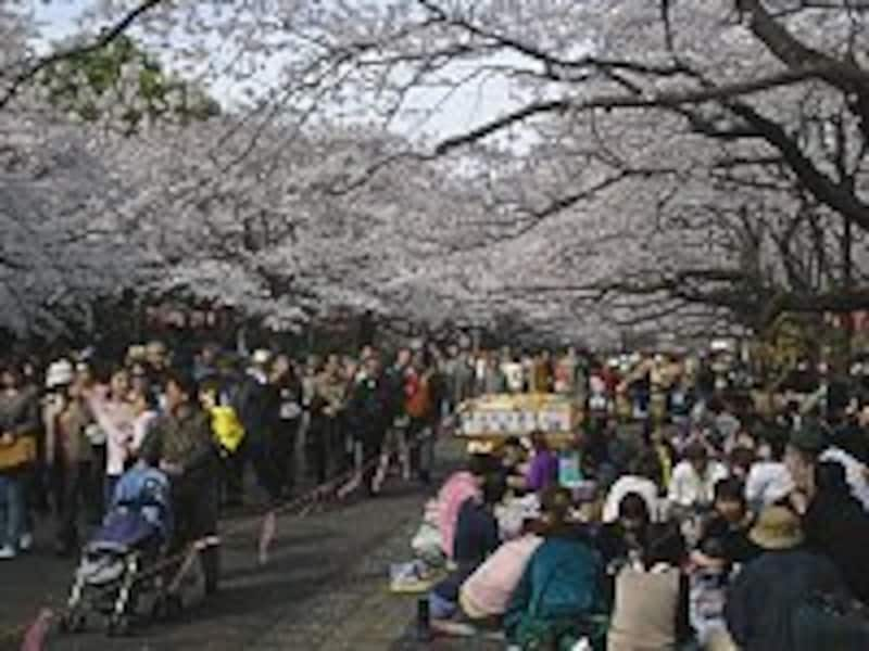 上野恩賜公園