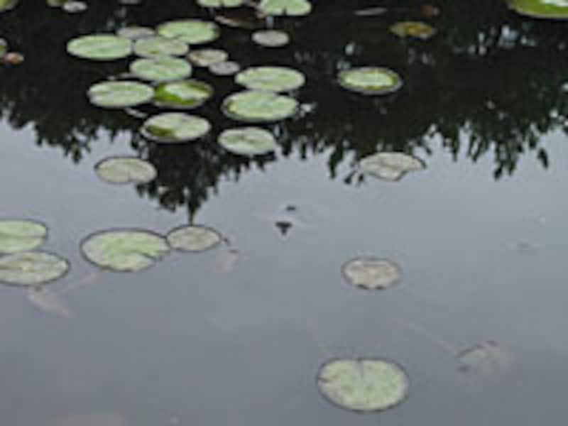 江田神社”></td></tr><tr><td class=