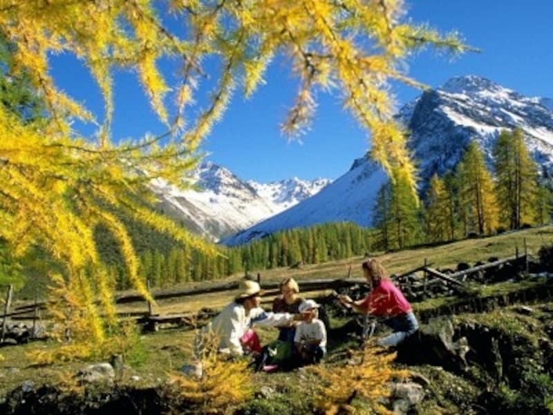黄葉が美しいスイスの秋。写真はスイス東部、ダヴォス近郊
