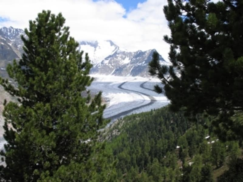スイス最大のアレッチ氷河。全長は約24キロ