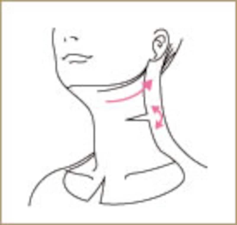 画像の代替テキスト