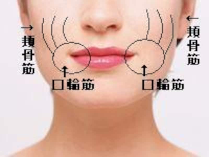 口輪筋を鍛える方法 顔の筋トレで頬と口元のたるみ対策 ほうれい線 All About
