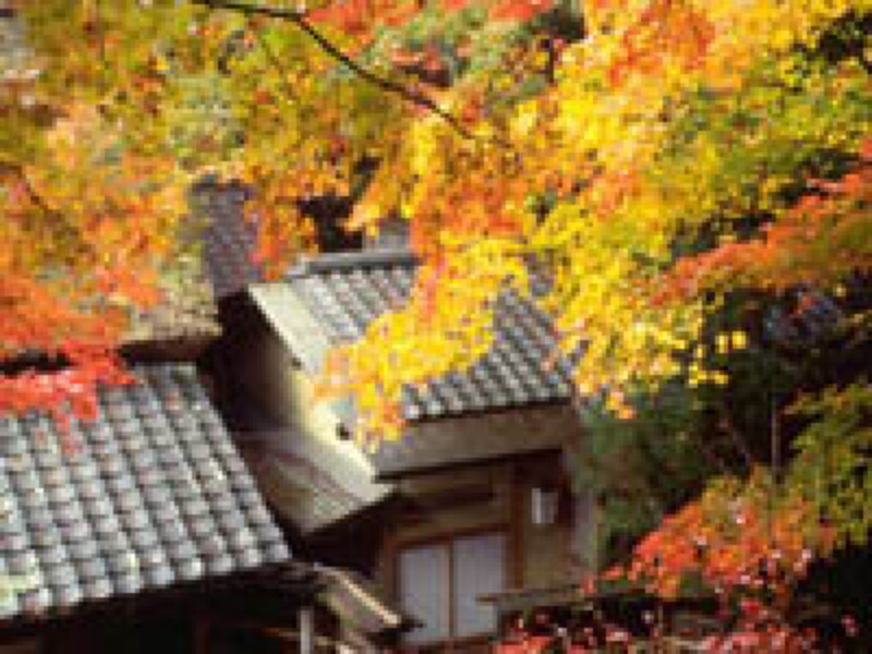 旅先のこんな風情は、オトコゴコロを隙だらけにします