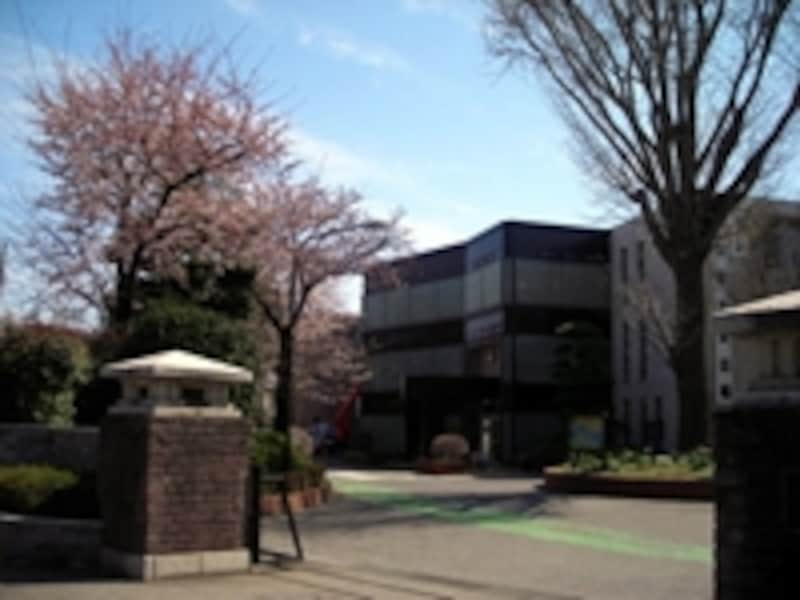 “日本男子”を育てるための質実剛健で自由な校風の県立浦和高校