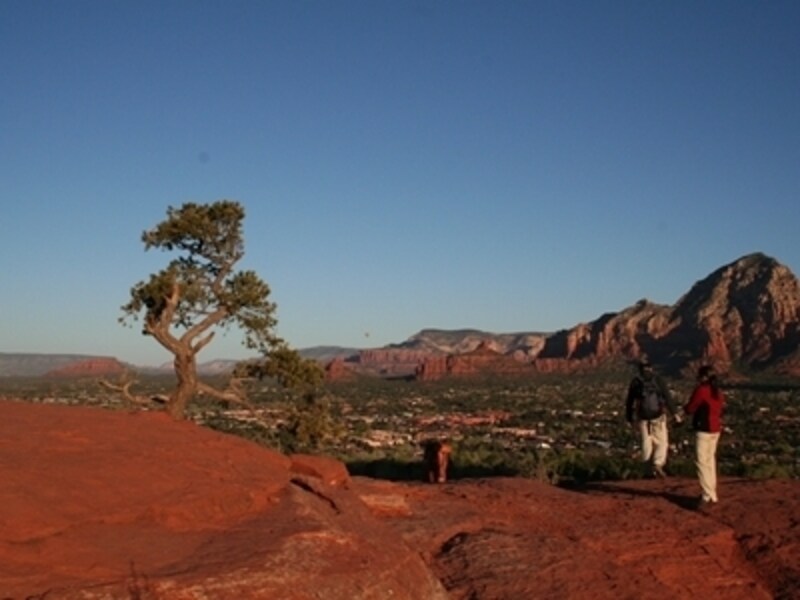 朝日の時間にエアポートメサに登ってみました！