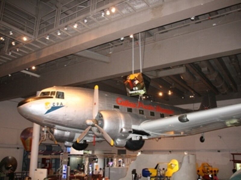 恐竜展などの特別展示もあり