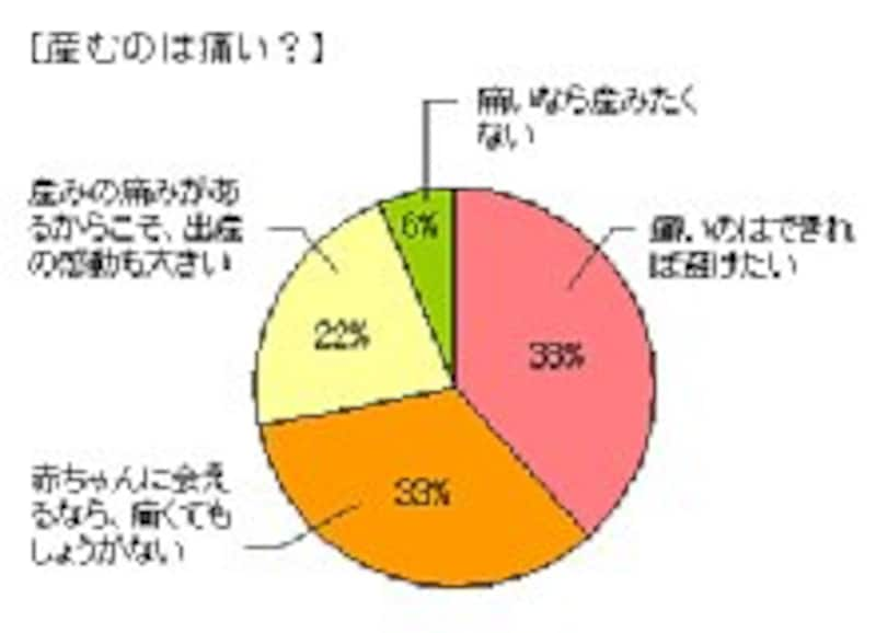 産みの痛み否定派よりも、痛みへの肯定派が上回っているものの、割合は拮抗している。クリックすると拡大されます