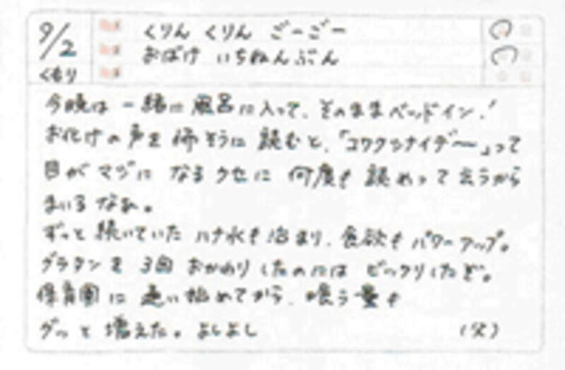 日記ページ。クリックすると拡大されます。