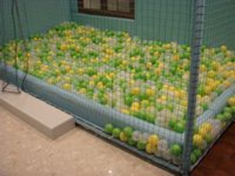 赤ちゃんが喜ぶボールプールも<br>