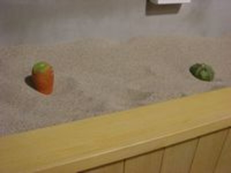 安全に遊べる砂場もあります<br>