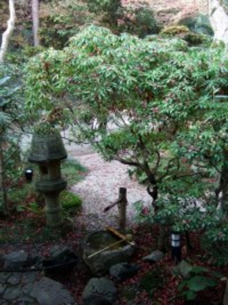 小部屋から覗く外の景色。
