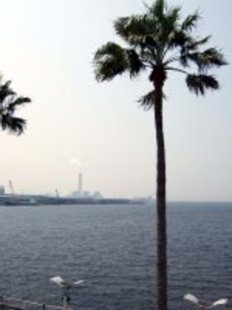 トレードセンター前の風景。