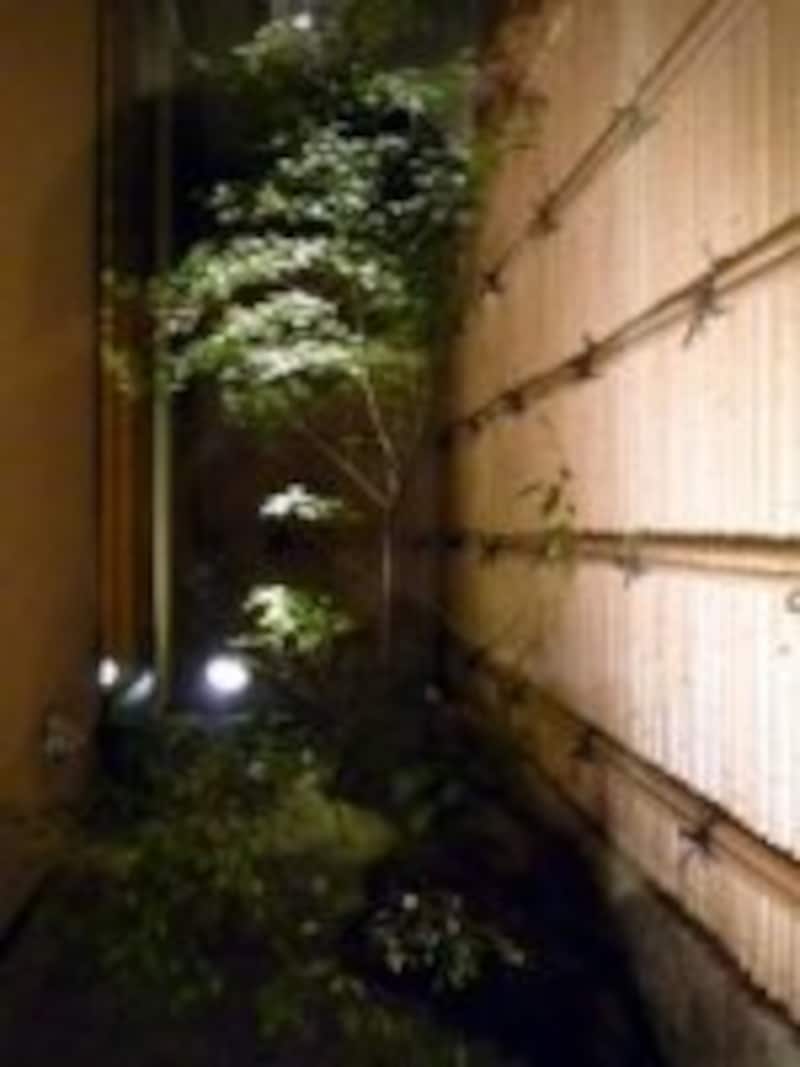 坪庭。