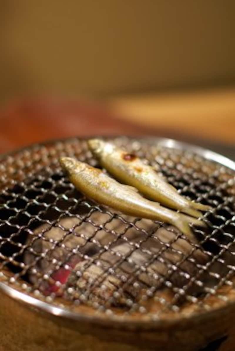 琵琶湖の「ホンモロコ」。