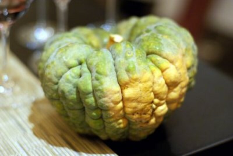 これは勝間南瓜。時間と共に味わいが変化するそうです。