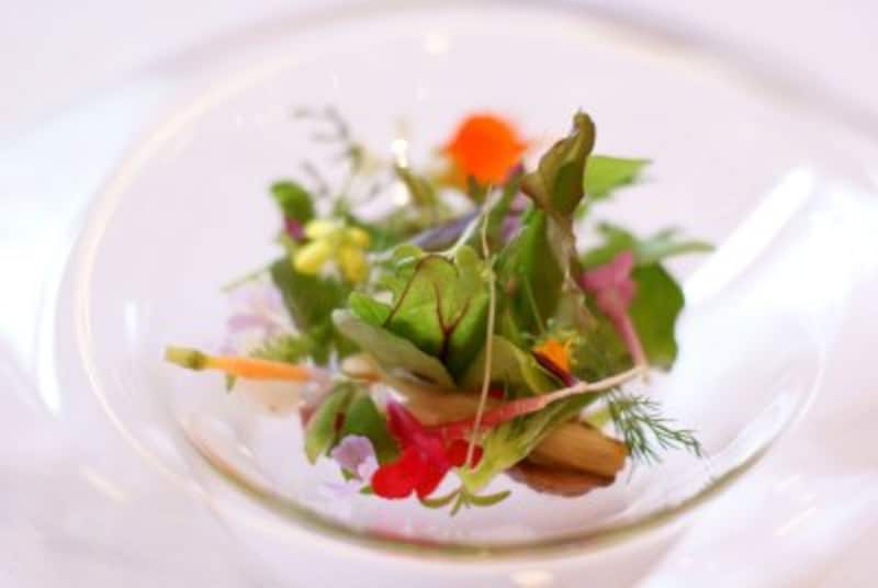 「焼き野菜と生野菜、新芽と葉、種と花、天然ものと栽培もの」焦がしバターのドレッシングとエメンタールチーズのフォン。