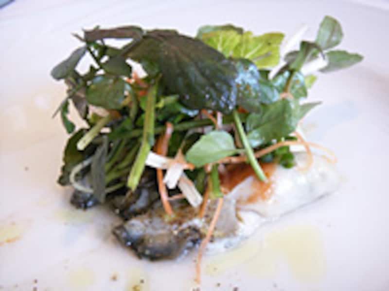厚岸産生牡蠣　ヴィンサントビネガー風味のクレソンサラダ添え