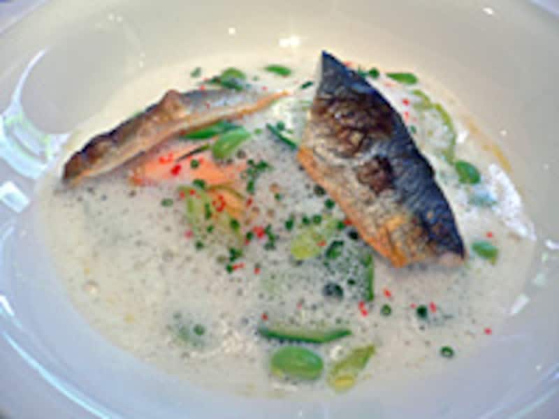 花ズッキーニに包まれたオマール海老のムース、若鮎添え