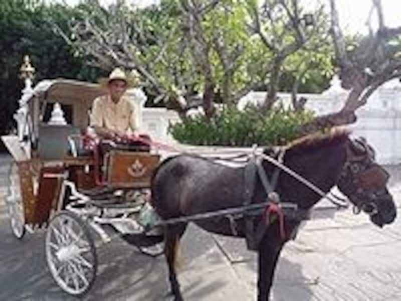 タイミングがよければこんな馬車でも移動できます!