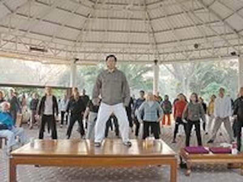 早朝は無料参加できる気功レッスンを毎日開催。体験必須です
