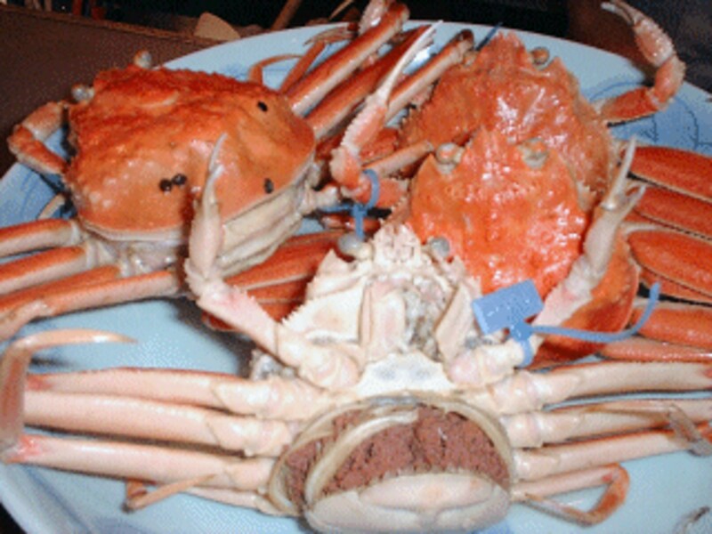 うひょ～、子がいっぱい。甲羅の黒い粒と青い印が本物の証≪日本酒≫