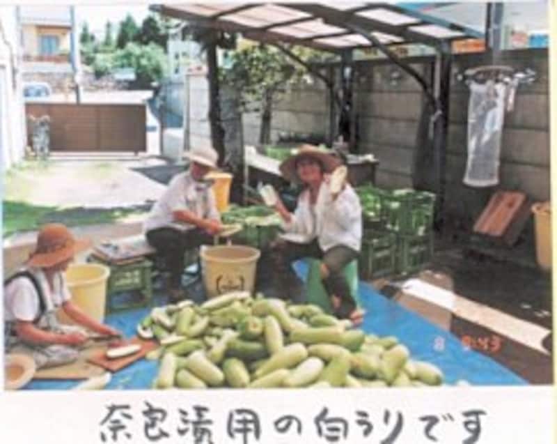 「奈良漬用の瓜の仕込み。右端の人が香保里さん