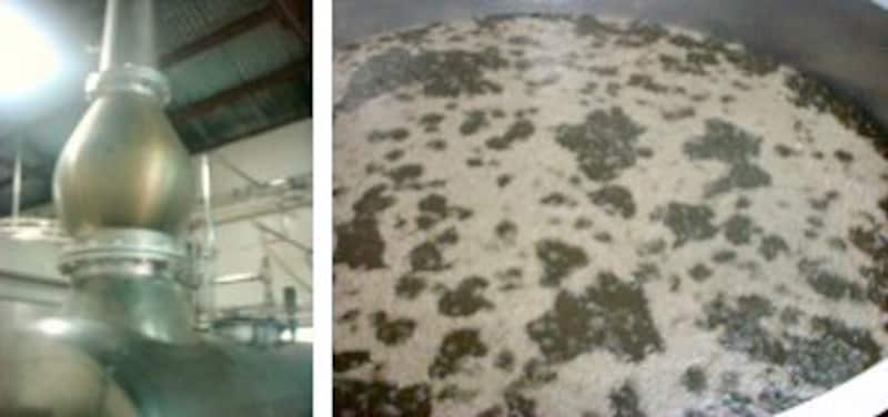 <蒸留釜。常圧発酵で原料の風味を残す。=左><黒麹菌で発酵させる泡盛。クエン酸が豊富な黒麹を使うことによって、温暖な気候ゆえに雑菌が繁殖しやすい沖縄でも、健全な酒造りができるのだ。=右>