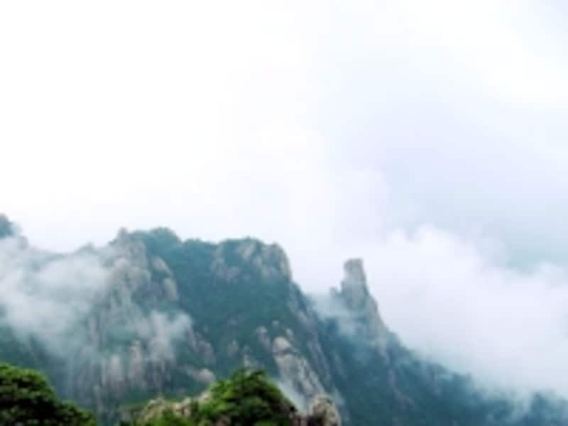 水墨画のような幻想的な世界