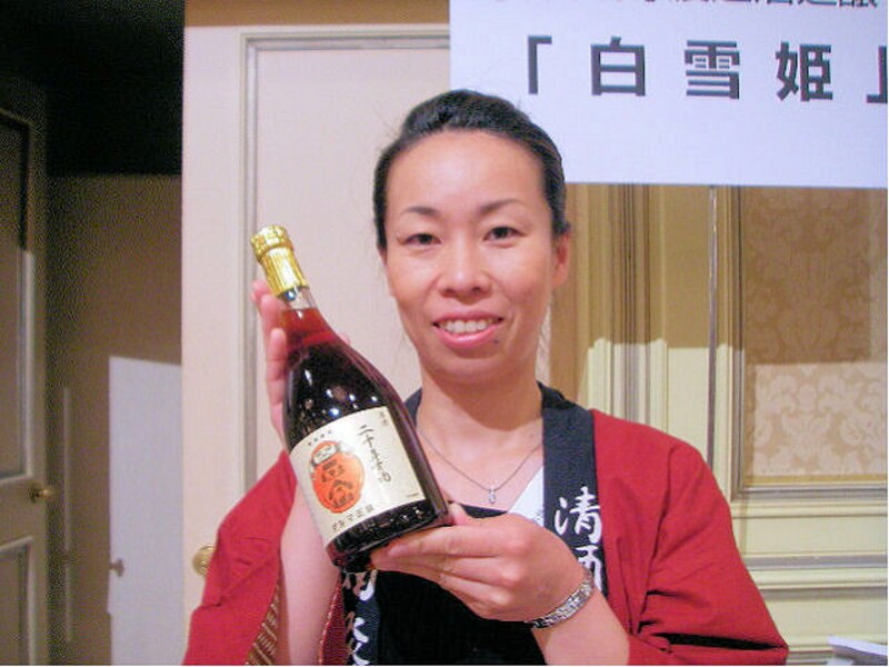 岐阜県 達磨正宗