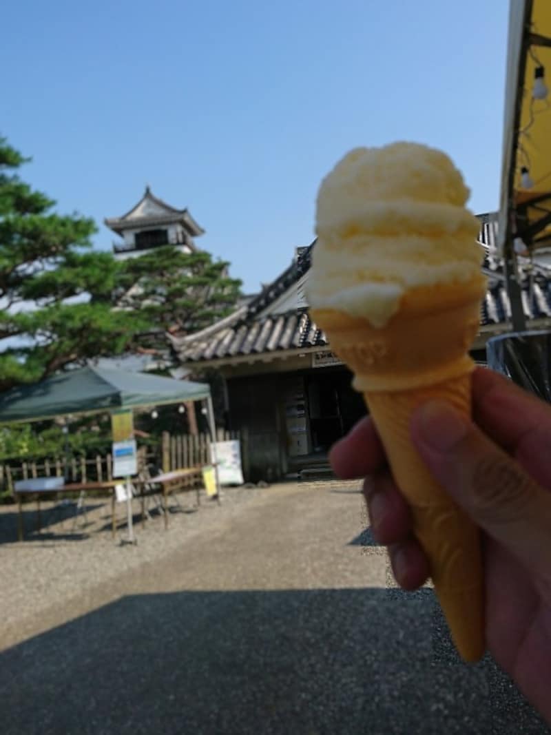 高知名物アイスクリン