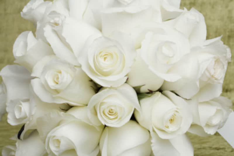 花嫁の色であるホワイトは清潔感やピュアな印象を与える