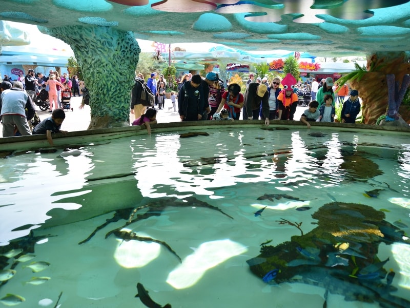 タッチプールがたくさん設置されている！