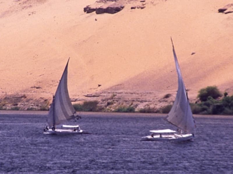 ナイル川に浮かぶ白い帆の帆船ファルーカ。タクシーのように使うこともできるし、これでルクソールまで3～5日かけて下ることもできる ©牧哲雄